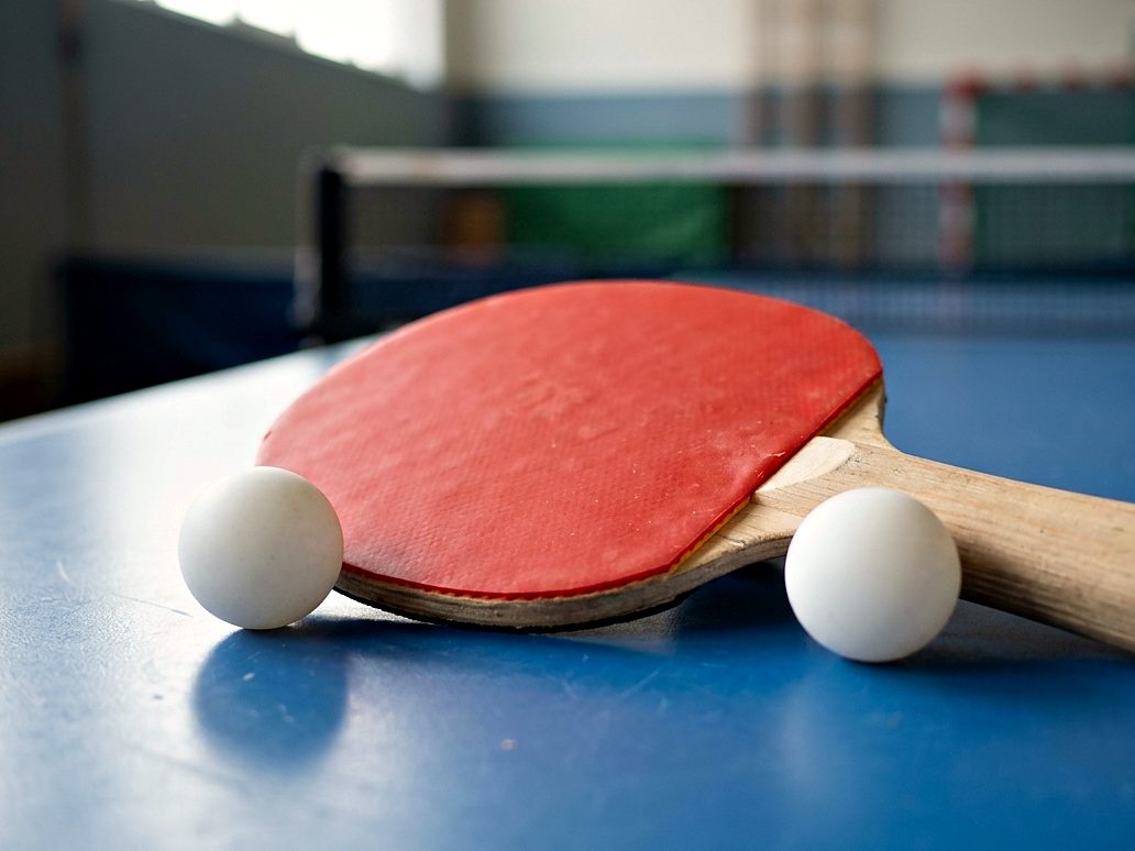 Table Tennis Bats manufactured and exported by Divine Cuts, Punjab, India