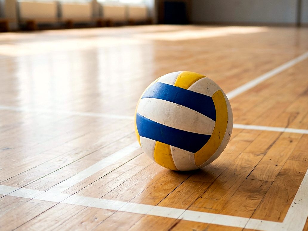 Volleyballs manufactured and exported by Divine Cuts, Punjab, India